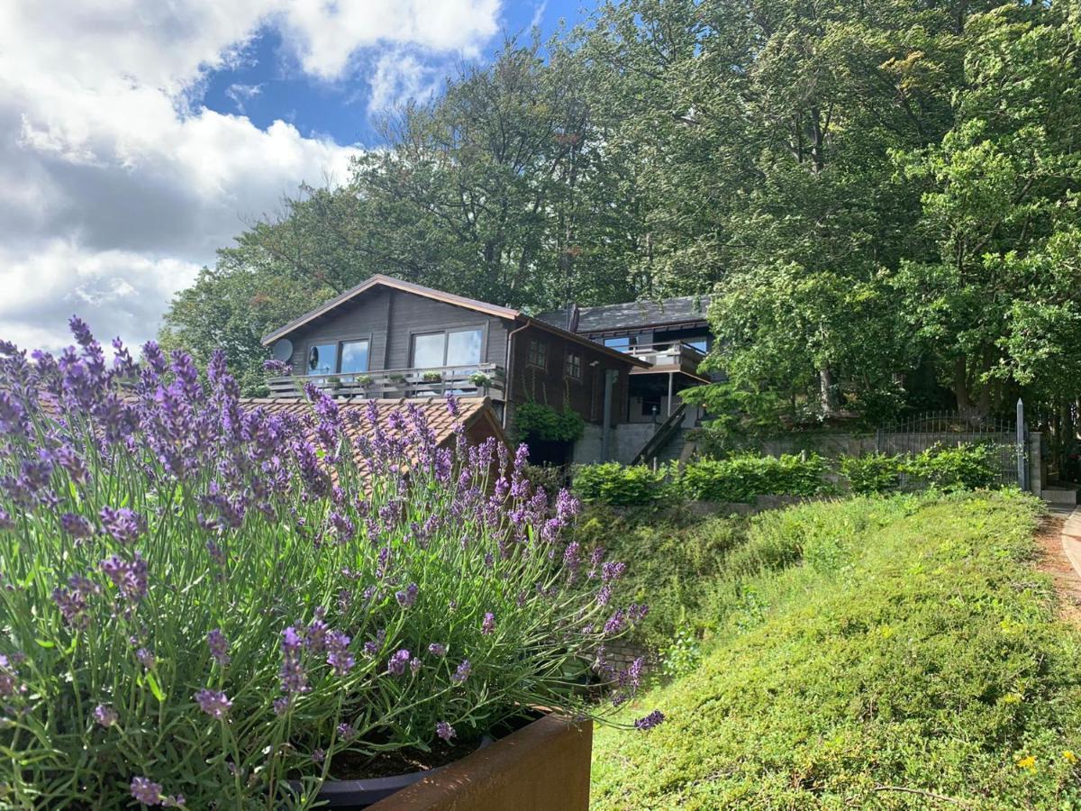 Chalet De La Sabliere Amougies Exterior photo